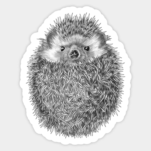 Hedgehog Sticker by Tim Jeffs Art